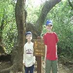 Thumbnail Image, Click to Enlarge thumb_09032002_14.jpg