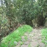 Thumbnail Image, Click to Enlarge thumb_09032002_15.jpg