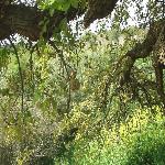 Thumbnail Image, Click to Enlarge thumb_09032002_17.jpg