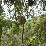 Thumbnail Image, Click to Enlarge thumb_09032002_18.jpg