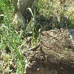 Thumbnail Image, Click to Enlarge thumb_09032002_19.jpg