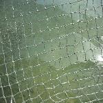 Thumbnail Image, Click to Enlarge thumb_09032002_20.jpg