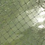 Thumbnail Image, Click to Enlarge thumb_09032002_22.jpg
