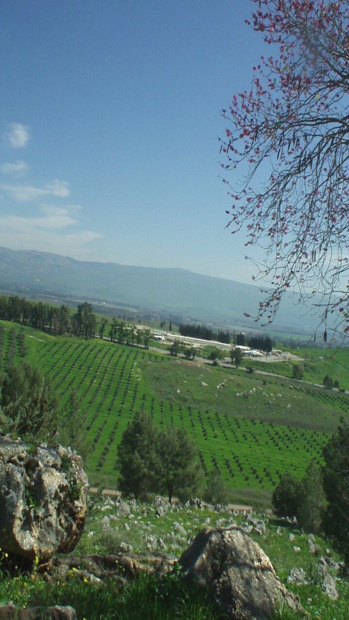 01032002_04.jpg