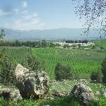 Thumbnail Image, Click to Enlarge thumb_01032002_03.jpg