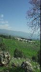 Thumbnail Image, Click to Enlarge thumb_01032002_04.jpg