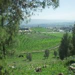 Thumbnail Image, Click to Enlarge thumb_01032002_08.jpg