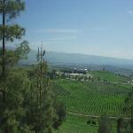 Thumbnail Image, Click to Enlarge thumb_01032002_11.jpg