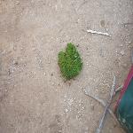Thumbnail Image, Click to Enlarge thumb_01032002_13.jpg
