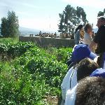 Thumbnail Image, Click to Enlarge thumb_01032002_15.jpg