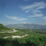 Thumbnail Image, Click to Enlarge thumb_01032002_16.jpg