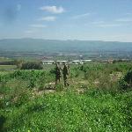 Thumbnail Image, Click to Enlarge thumb_01032002_18.jpg