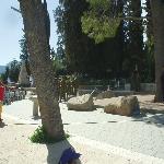 Thumbnail Image, Click to Enlarge thumb_01032002_21.jpg
