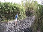 Thumbnail Image, Click to Enlarge thumb_IMG_1789.JPG