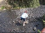 Thumbnail Image, Click to Enlarge thumb_IMG_1790.JPG