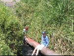 Thumbnail Image, Click to Enlarge thumb_IMG_1791.JPG