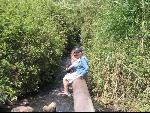 Thumbnail Image, Click to Enlarge thumb_IMG_1793.JPG