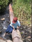 Thumbnail Image, Click to Enlarge thumb_IMG_1795.JPG