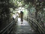 Thumbnail Image, Click to Enlarge thumb_IMG_1806.JPG