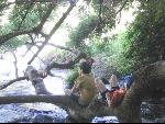 Thumbnail Image, Click to Enlarge thumb_IMG_1812.JPG