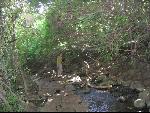 Thumbnail Image, Click to Enlarge thumb_IMG_1821.JPG