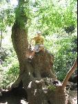 Thumbnail Image, Click to Enlarge thumb_IMG_1826.JPG