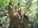 Thumbnail Image, Click to Enlarge thumb_IMG_1828.JPG