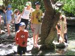Thumbnail Image, Click to Enlarge thumb_IMG_1843.JPG