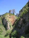 Thumbnail Image, Click to Enlarge thumb_IMG_1746.JPG
