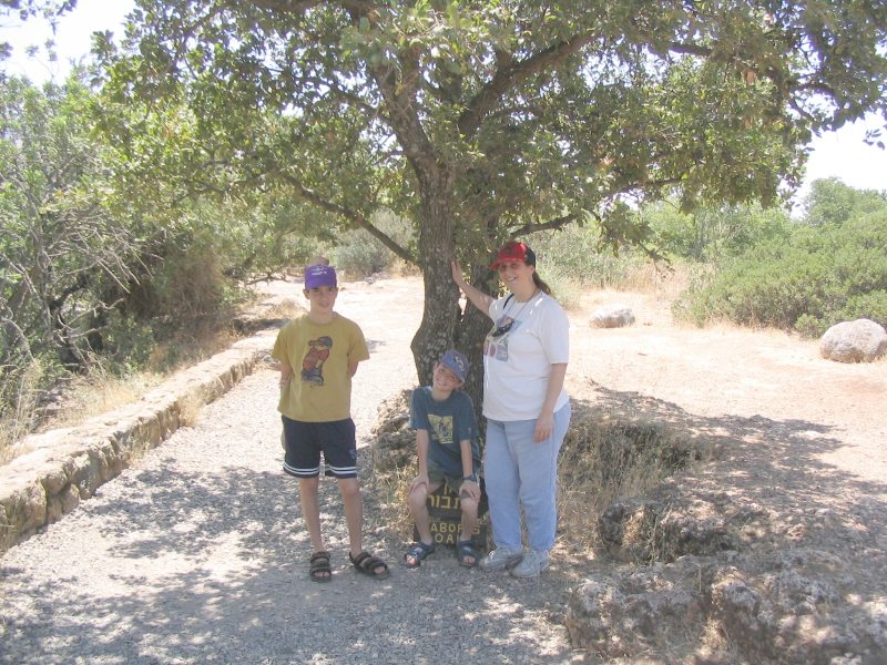 IMG_2012.JPG
