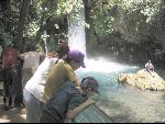 Thumbnail Image, Click to Enlarge thumb_IMG_2027.JPG