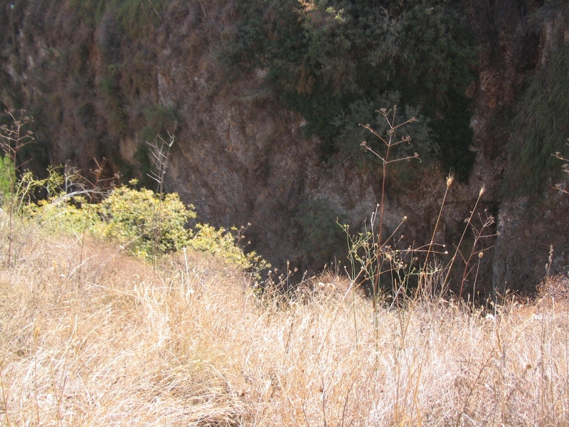 IMG_2157.JPG