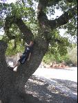 Thumbnail Image, Click to Enlarge thumb_IMG_2212.JPG