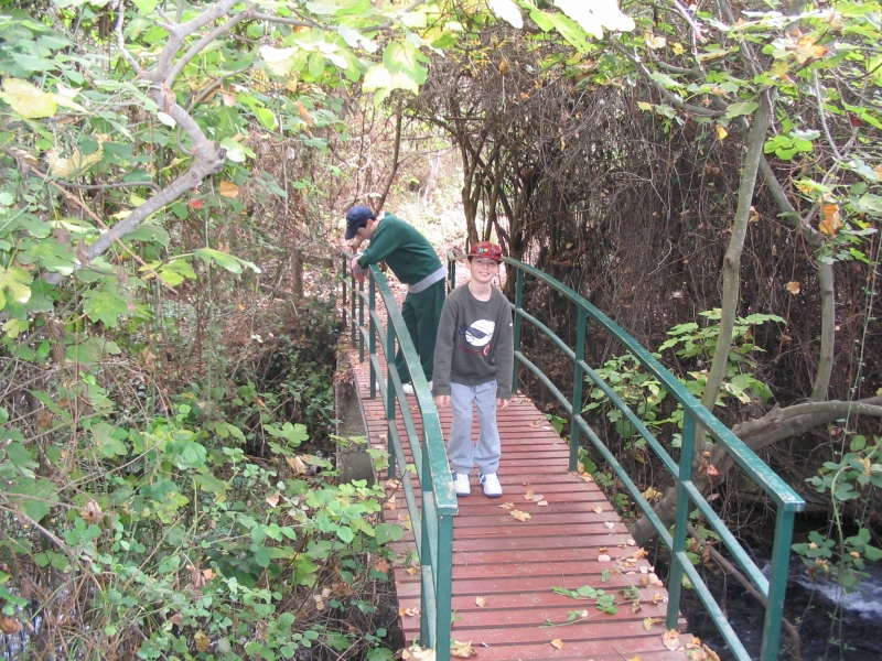 IMG_2315.JPG