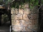 Thumbnail Image, Click to Enlarge thumb_IMG_2308.JPG