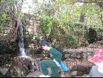 Thumbnail Image, Click to Enlarge thumb_IMG_2311.JPG