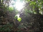 Thumbnail Image, Click to Enlarge thumb_IMG_2312.JPG