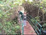 Thumbnail Image, Click to Enlarge thumb_IMG_2315.JPG