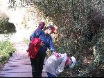 Thumbnail Image, Click to Enlarge thumb_IMG_3115.JPG