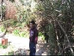 Thumbnail Image, Click to Enlarge thumb_IMG_3128.JPG