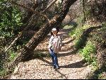 Thumbnail Image, Click to Enlarge thumb_IMG_3136.JPG