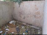 Thumbnail Image, Click to Enlarge thumb_IMG_3176.JPG