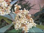 Thumbnail Image, Click to Enlarge thumb_IMG_3180.JPG