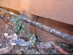 Thumbnail Image, Click to Enlarge thumb_IMG_3183.JPG
