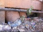Thumbnail Image, Click to Enlarge thumb_IMG_3185.JPG