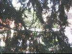Thumbnail Image, Click to Enlarge thumb_IMG_3188.JPG