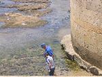 Thumbnail Image, Click to Enlarge thumb_IMG_4348.JPG