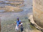 Thumbnail Image, Click to Enlarge thumb_IMG_4349.JPG