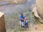 Thumbnail Image, Click to Enlarge thumb_IMG_4350.JPG