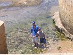 Thumbnail Image, Click to Enlarge thumb_IMG_4351.JPG
